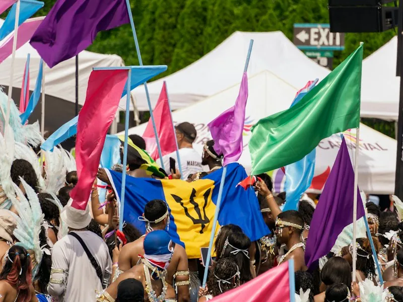 Crowd waving flags at an outdoor festival
