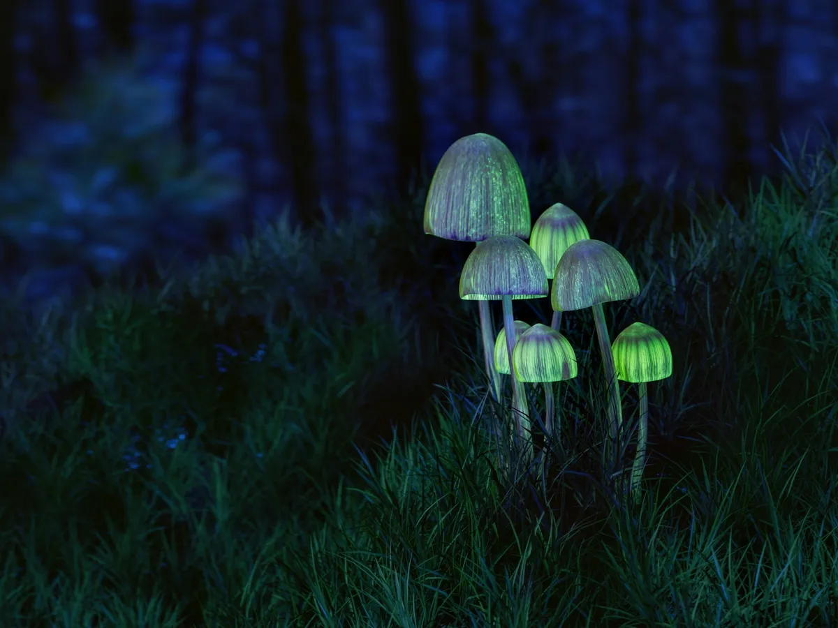 Glow-in-the-Dark Stickers