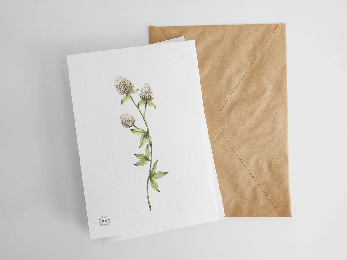 Greeting Cards