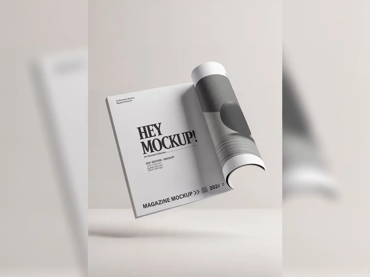 Magazines