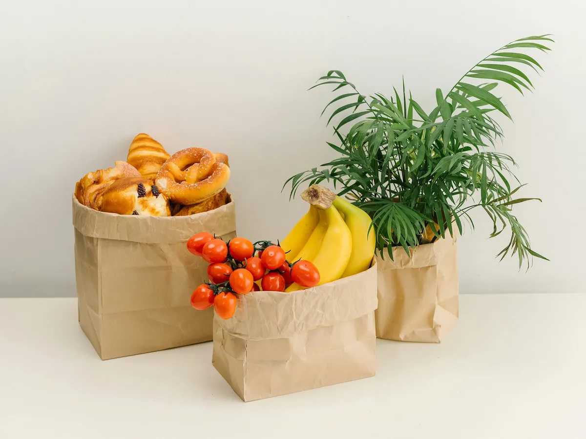Paper Bags