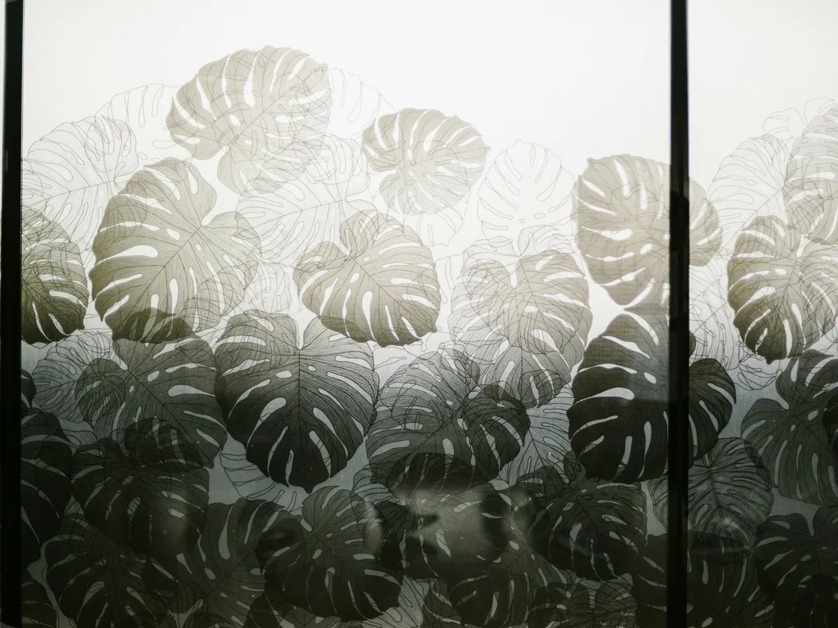 Privacy Film