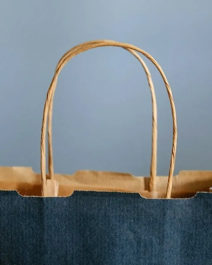 Kraft paper shopping bag with twisted paper handles