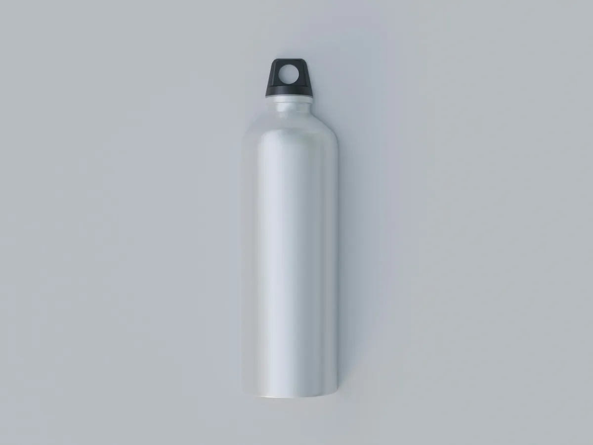 Stainless Steel Bottles